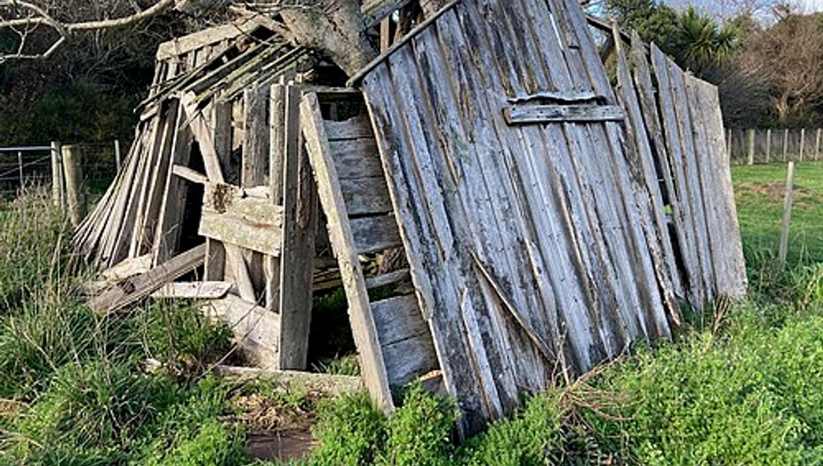 Carkeek Observatory