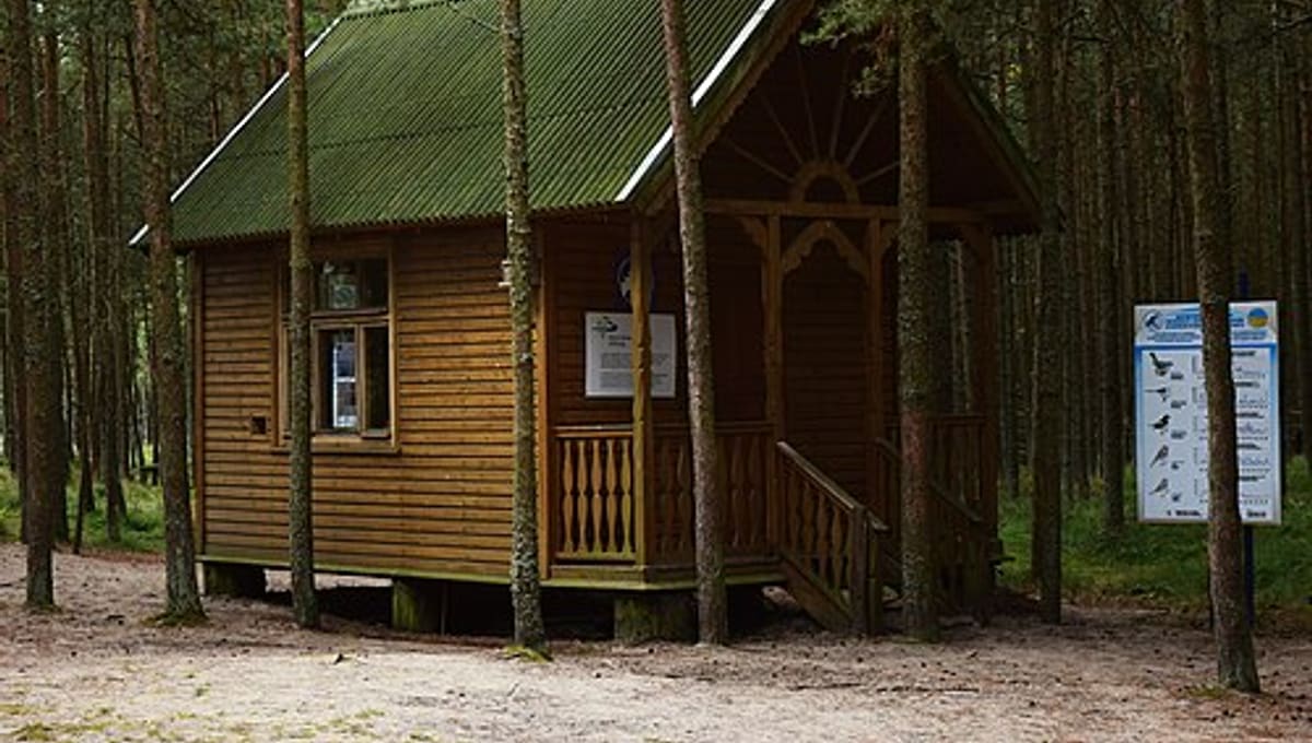 Fringilla Field Station