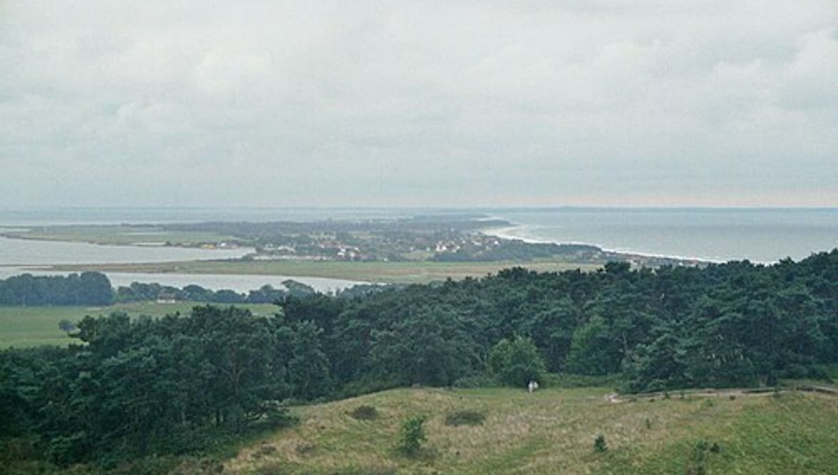 Hiddensee Bird observatory