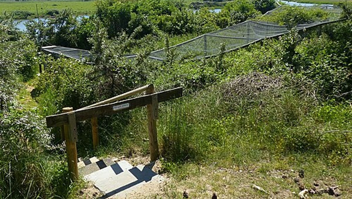 Holme Bird Observatory
