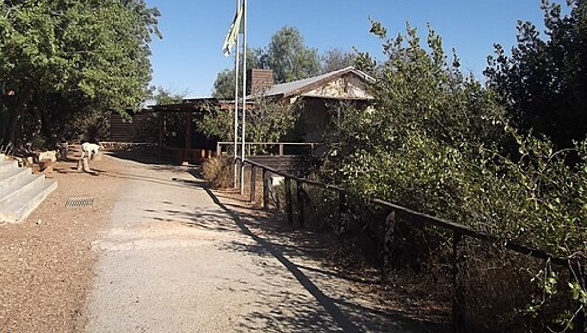 Jerusalem Bird Observatory
