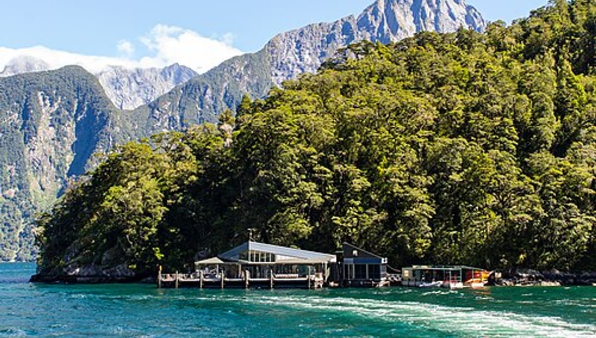Milford Sound Discovery Centre and Underwater Observatory