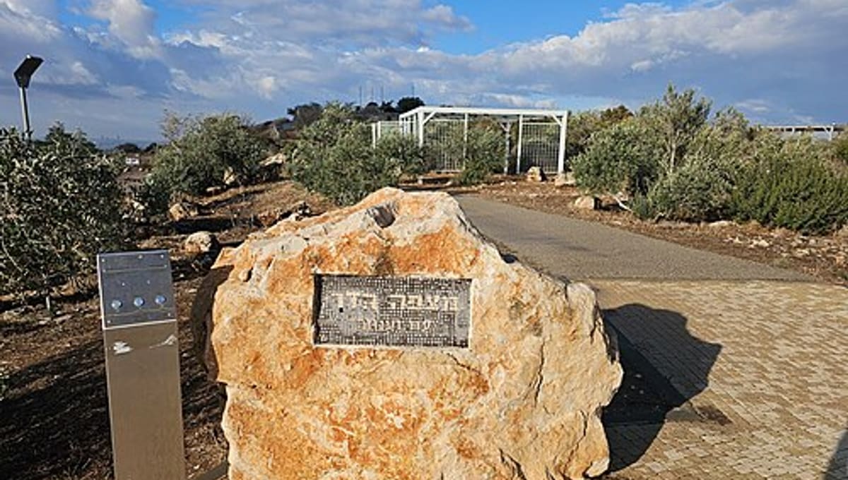 Mitzpe Hadar