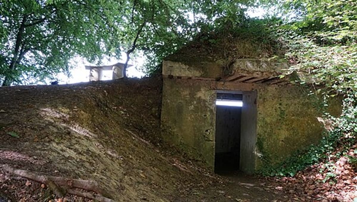 Observatoire du Mont-Sinaï