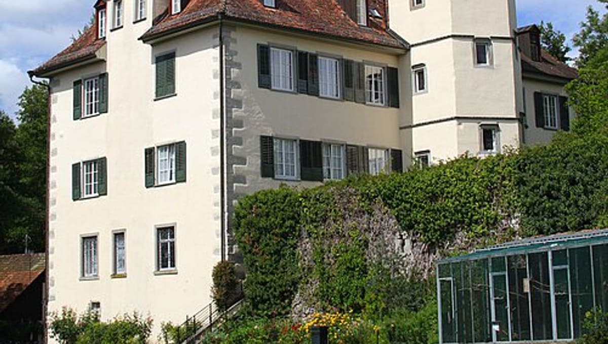 Radolfzell bird observatory