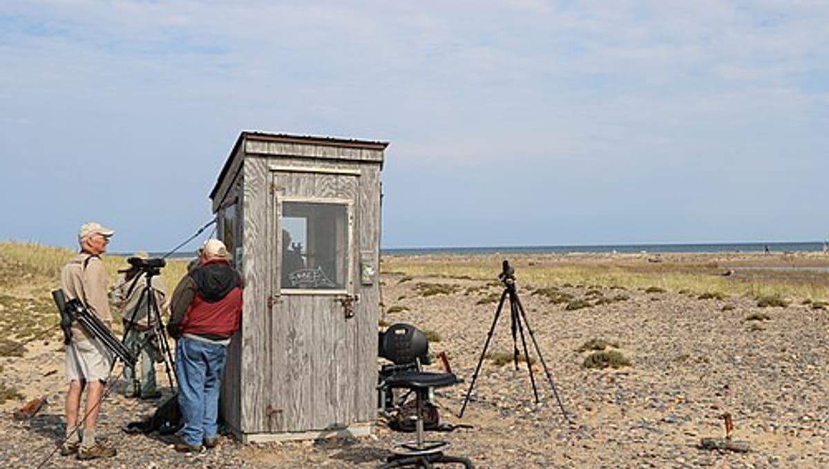 Whitefish Point Bird Observatory