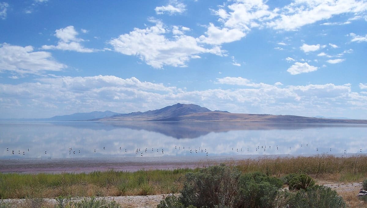 Antelope Island State Park
