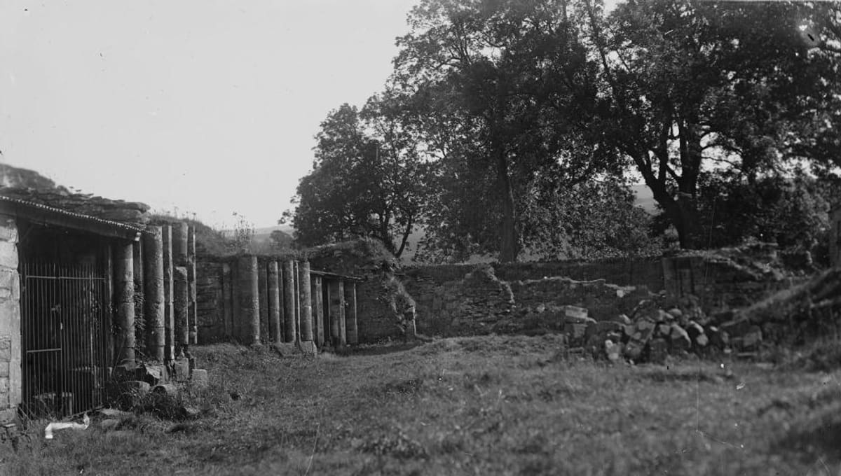 Coed y Bont
