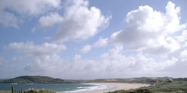 Coll