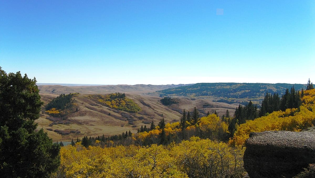 Cypress Hills Interprovincial Park