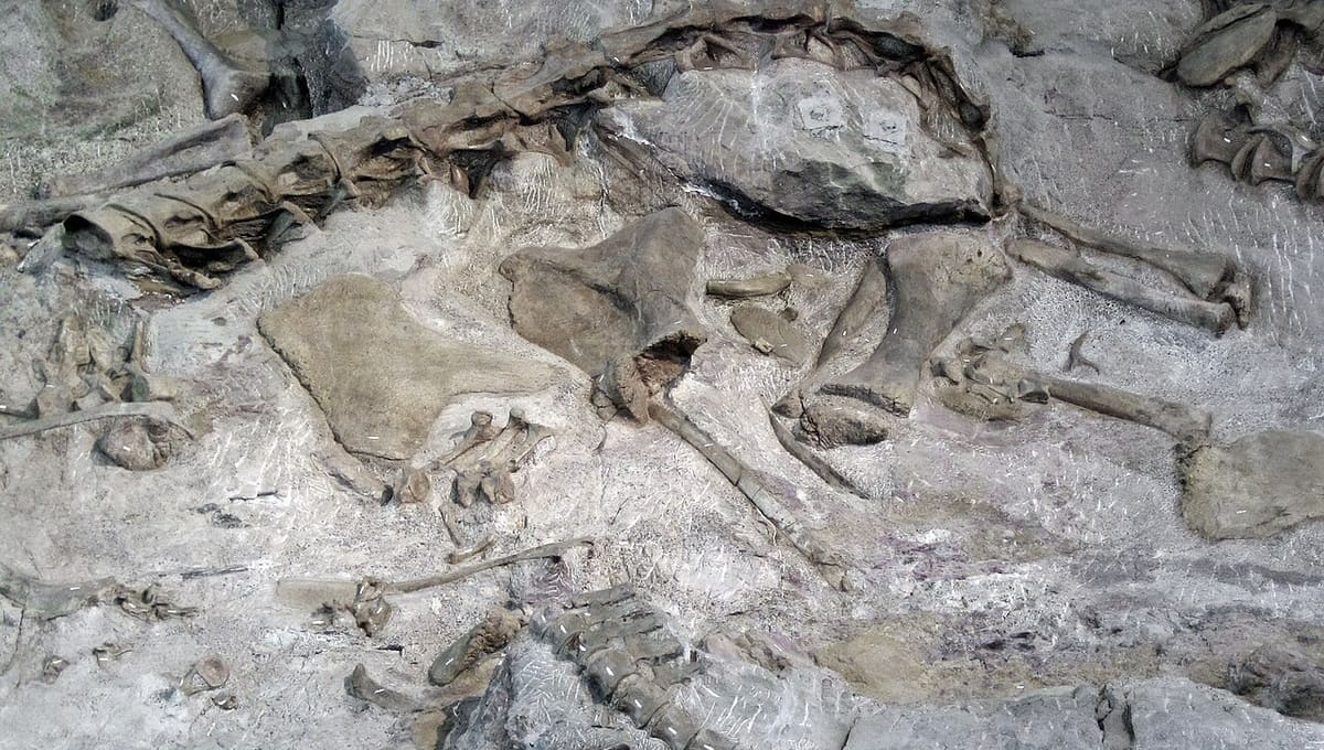 Dinosaur National Monument