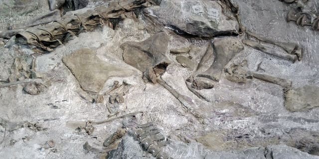 Dinosaur National Monument