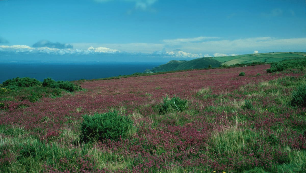 Exmoor National Park