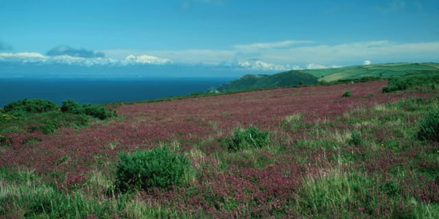 Exmoor National Park