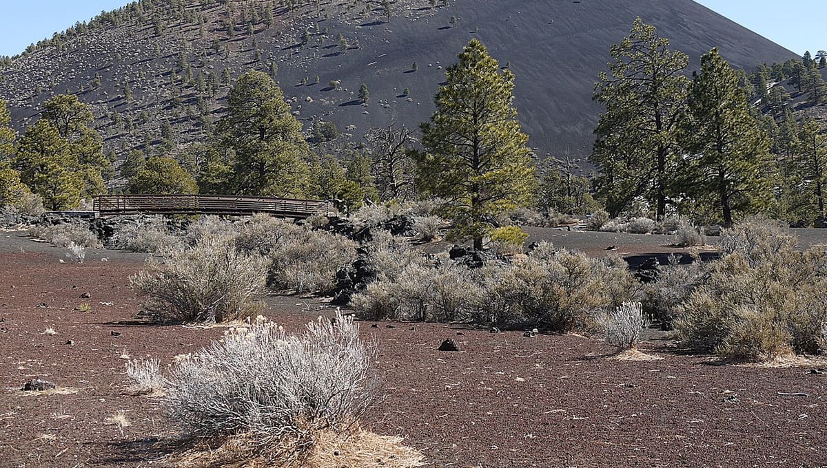Flagstaff Area National Monuments