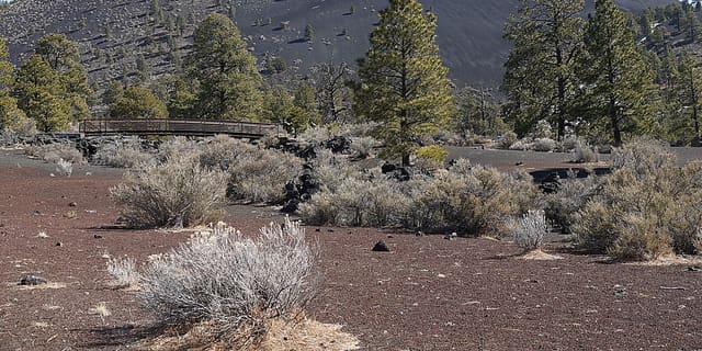 Flagstaff Area National Monuments
