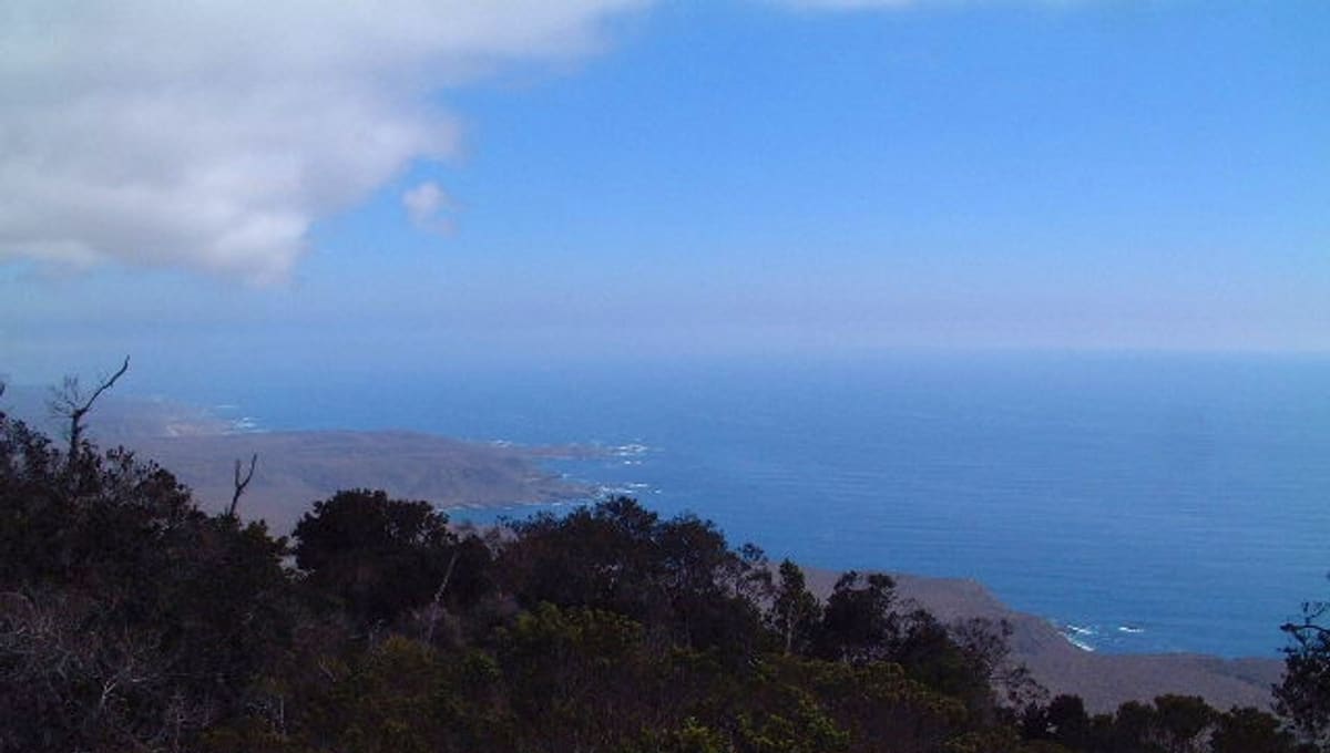 Fray Jorge Starlight Reserve