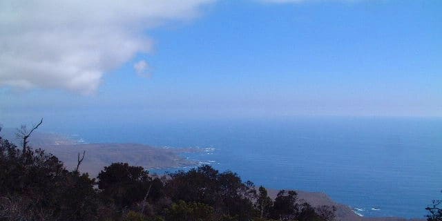 Fray Jorge Starlight Reserve