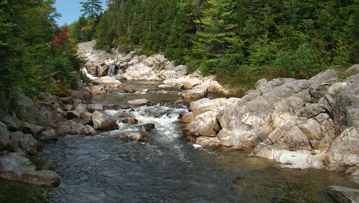 Fundy National Park