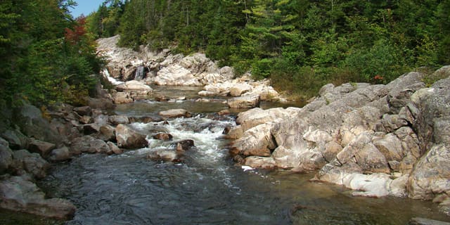 Fundy National Park