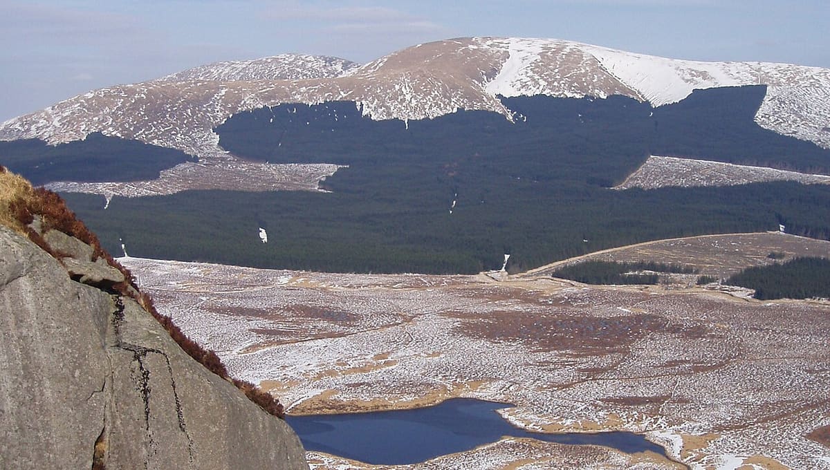 Galloway Forest Park