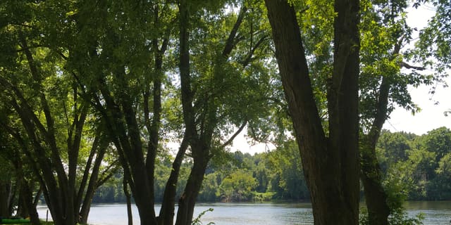 James River State Park