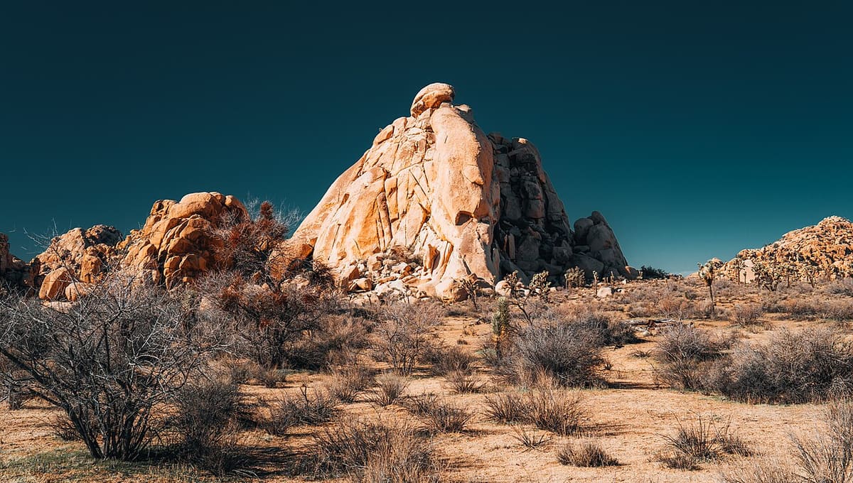 Joshua Tree National Park