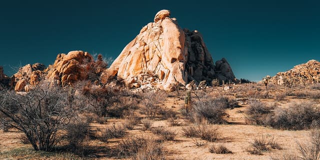 Joshua Tree National Park
