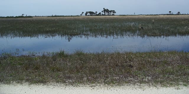 Kissimmee Prairie Preserve State Park