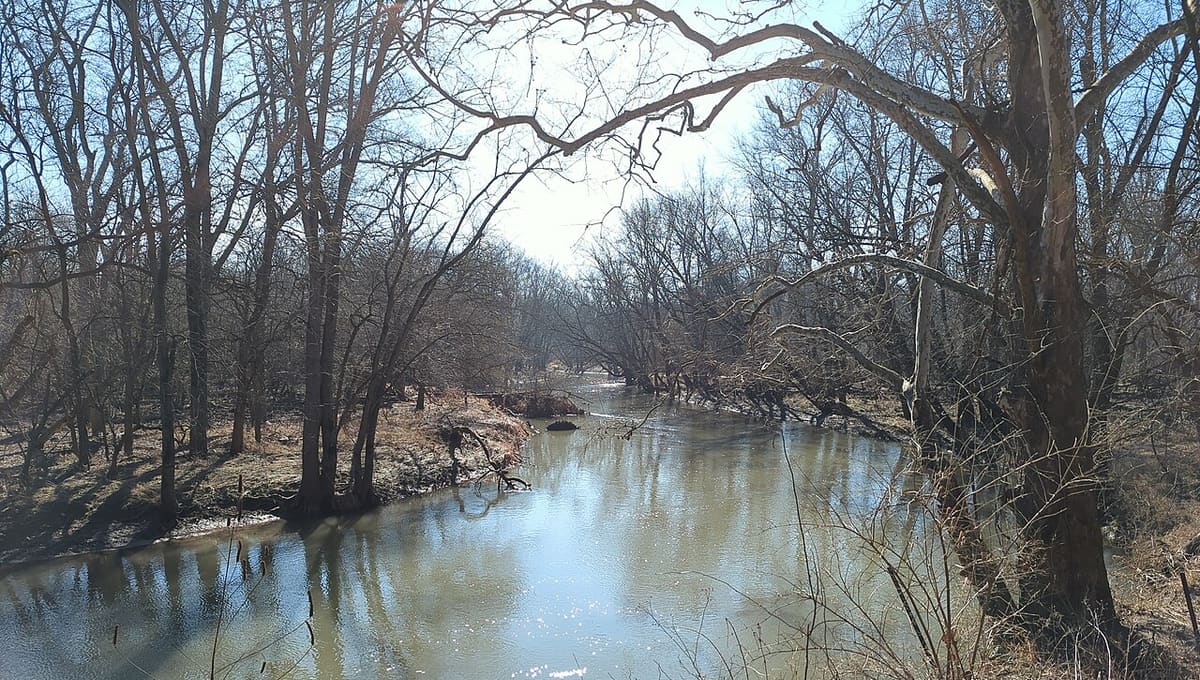 Middle Fork River Forest Preserve
