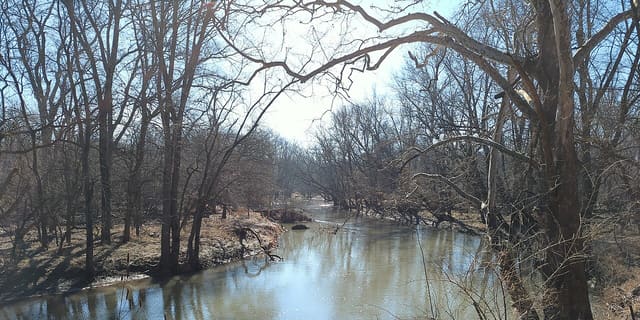 Middle Fork River Forest Preserve