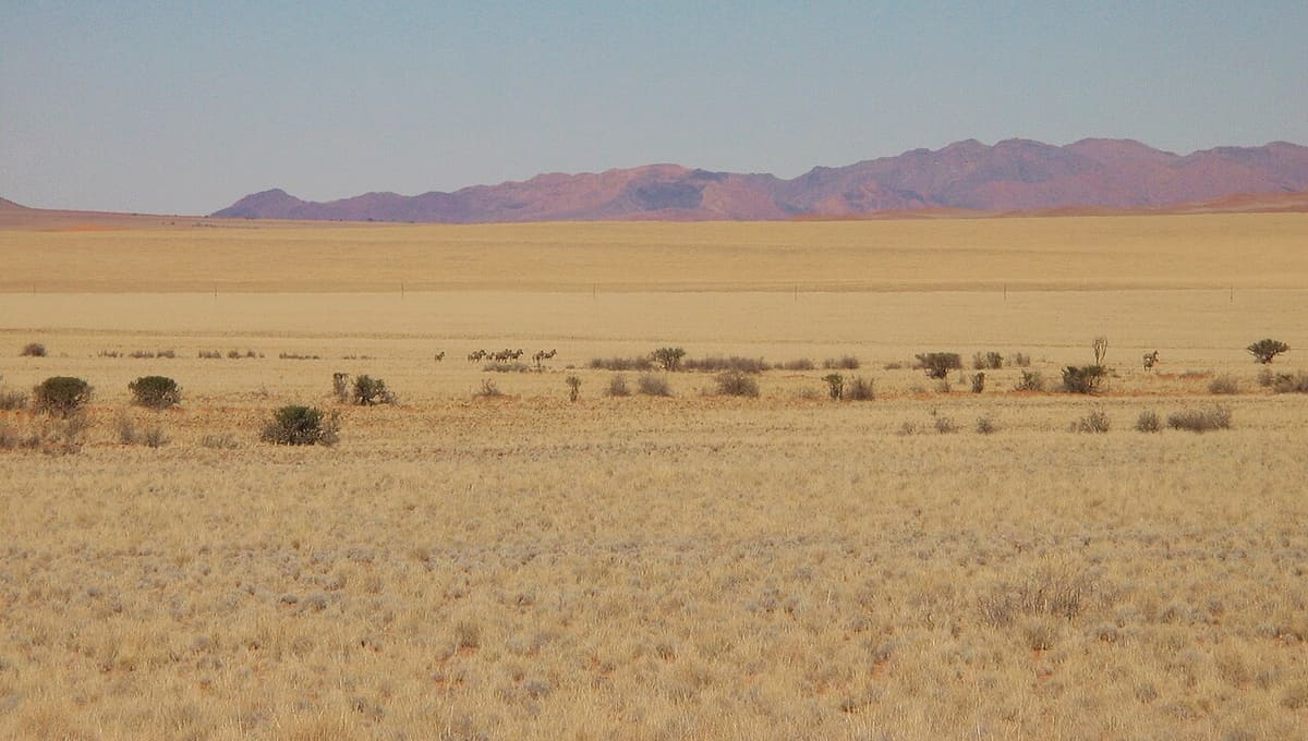 NamibRand Nature Reserve