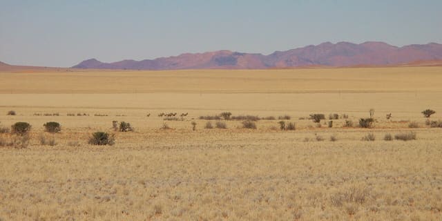 NamibRand Nature Reserve