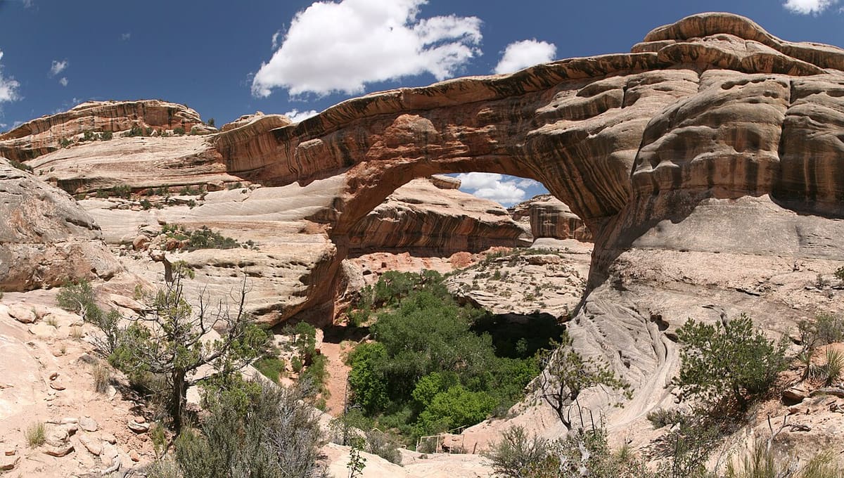 Natural Bridges National Monument