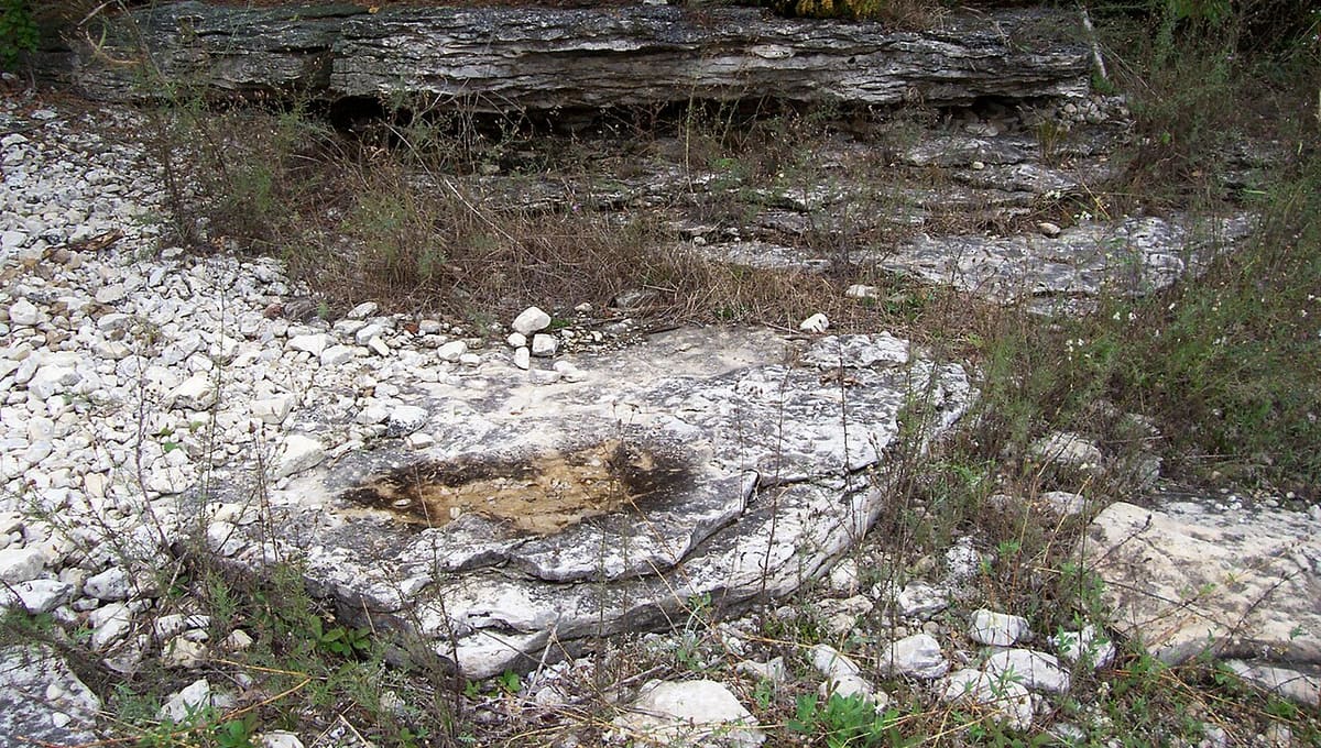 Newport State Park
