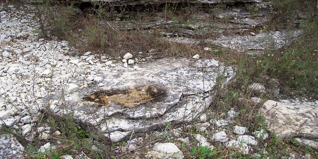 Newport State Park