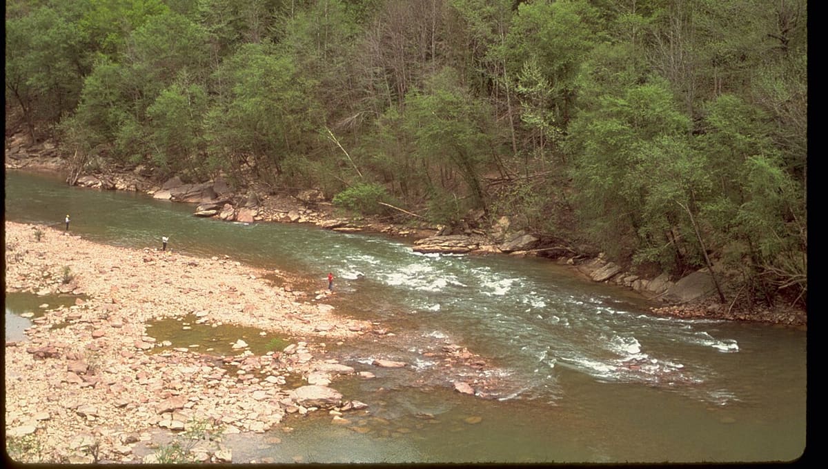 Obed Wild and Scenic River