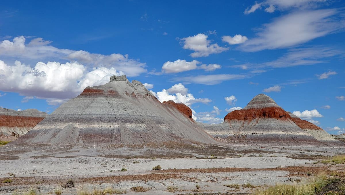 Petrified Forest National Park