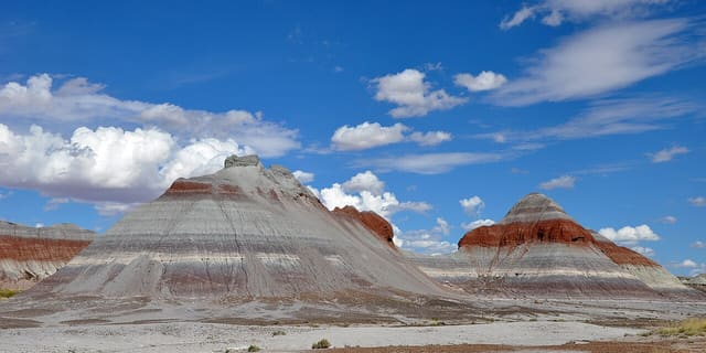 Petrified Forest National Park
