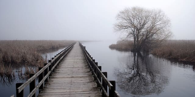 Point Pelee National Park