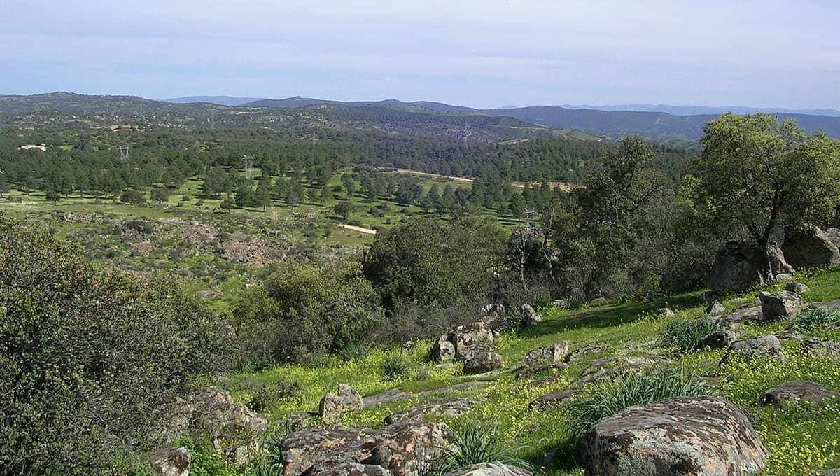 Sierra Morena Starlight Reserve