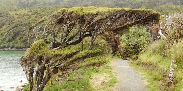 Stewart Island/Rakiura International Dark Sky Sanctuary