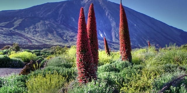 Teide National Park
