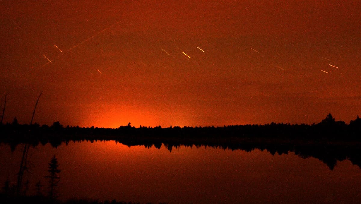 Torrance Barrens