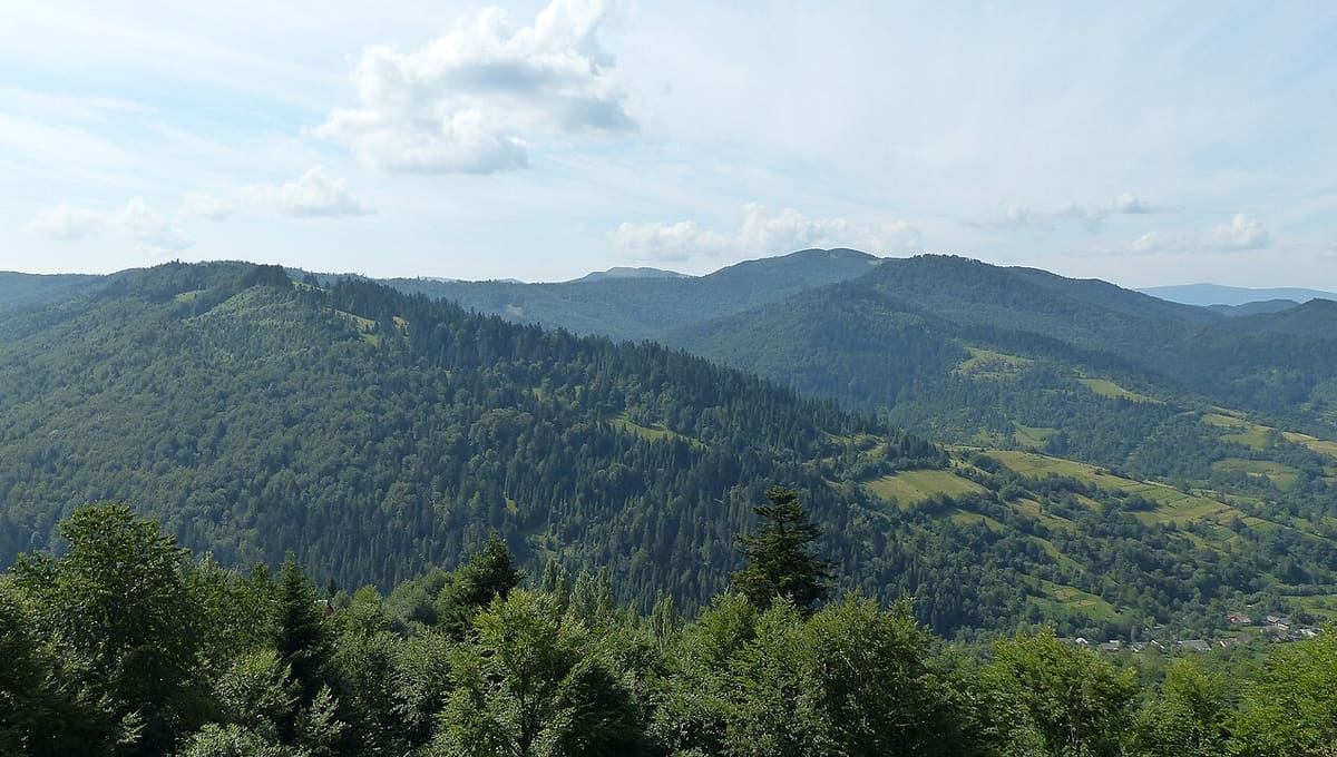 Transcarpathian Dark-Sky Park