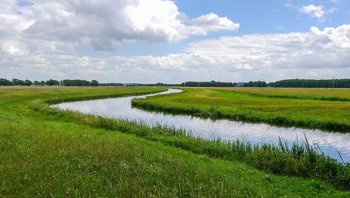Westhavelland Nature Park